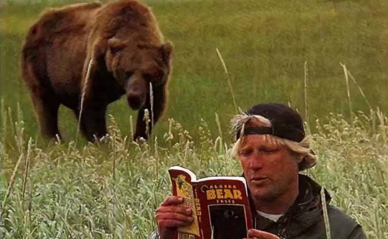 美国护熊奇人提摩西:和女友护熊13年,夜宿保护区时,双双被熊吃