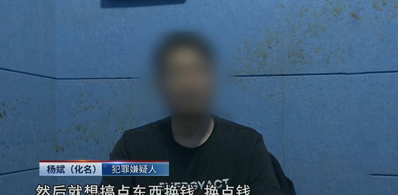 四人中杨斌是主谋,他无意看到了新闻在报道庞坡洞崖壁上的珍贵佛像