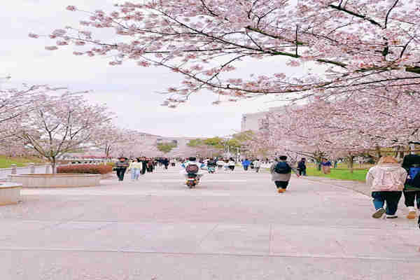 2024年湖北经济学院全日制助学班四年制本科报名指南 官方报名入口