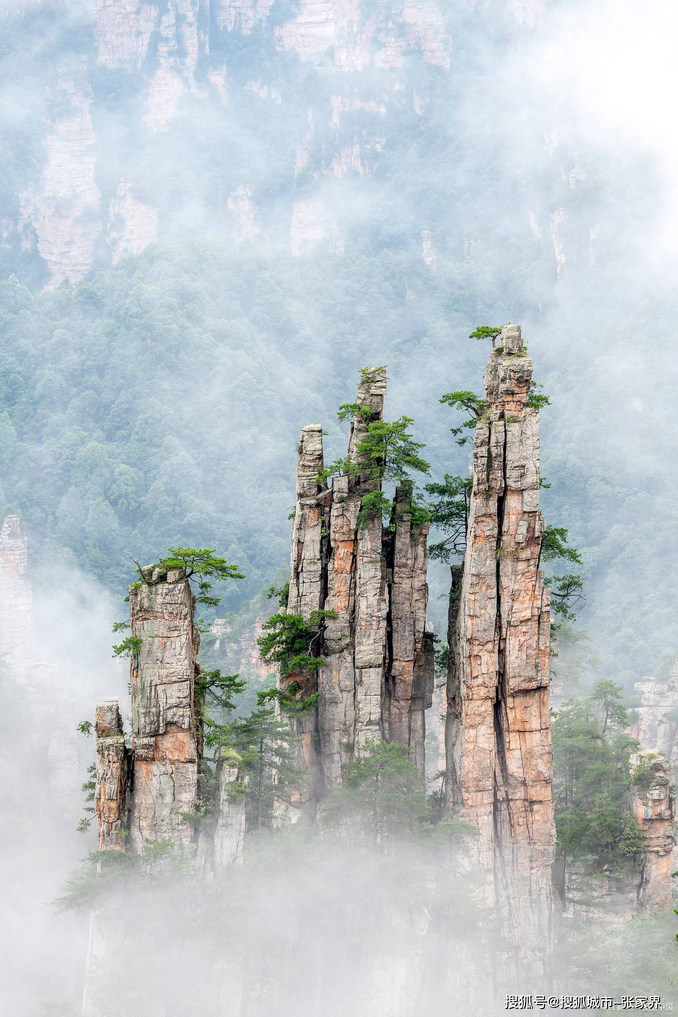 一个人去张家界天门山5日游跟团需要多少钱?