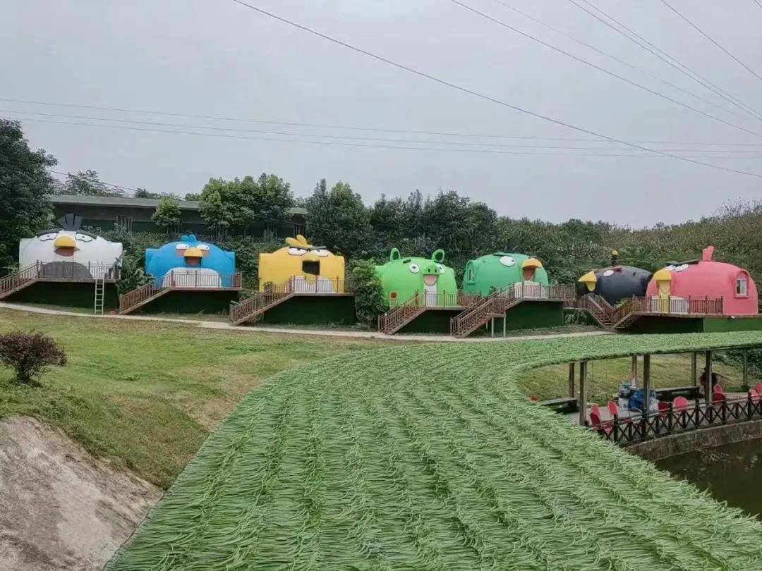 芒种游璧山正兴镇 遇见天河生态农庄