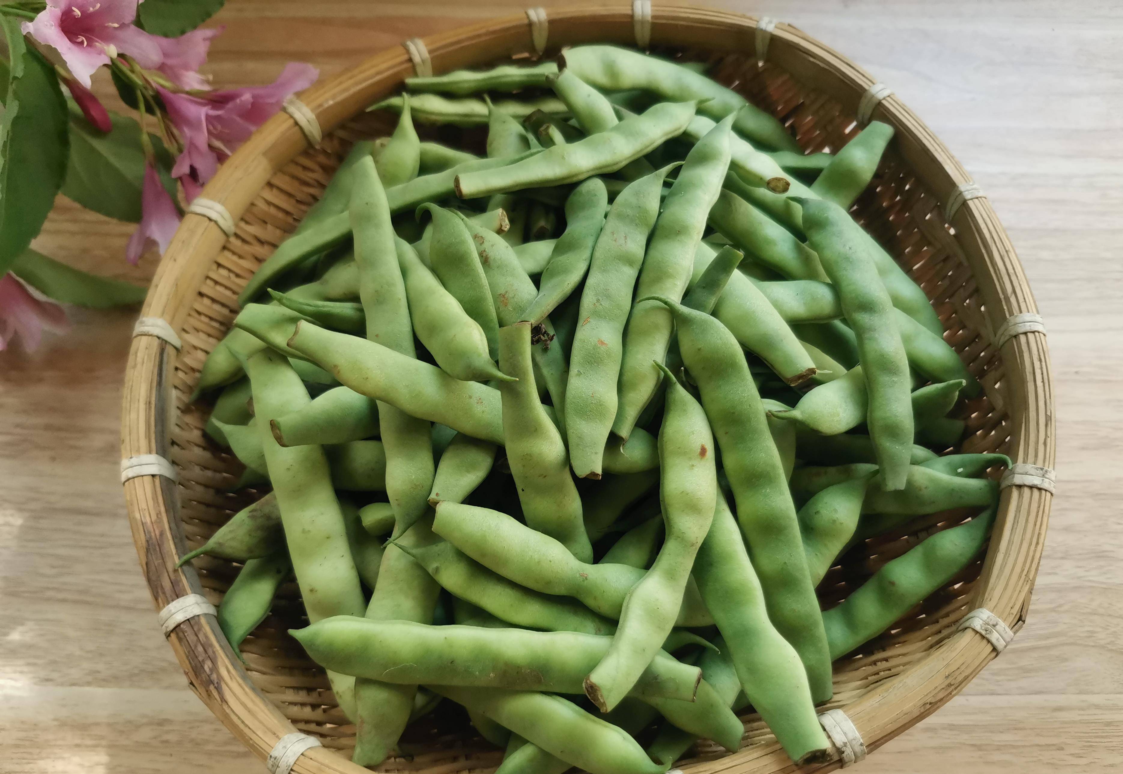 又到了吃豆角的季节 网友调侃:北方人的夏季噩梦豆角来了