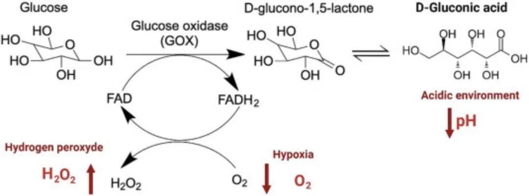一文了解新型胰岛素递送方式