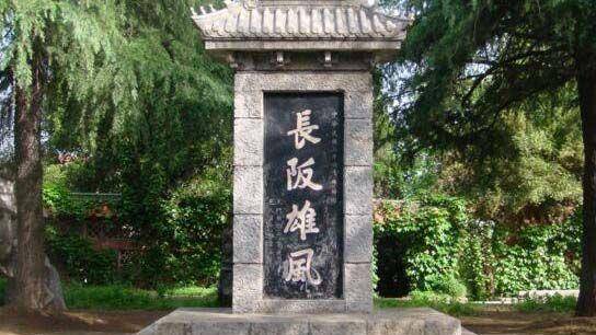 赵云去世后,他的成名武器龙胆枪到哪去了?