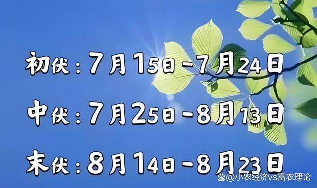 中伏:7月25日-8月13日,总共20天;初伏
