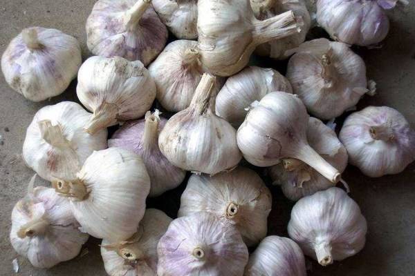 大蒜的功效