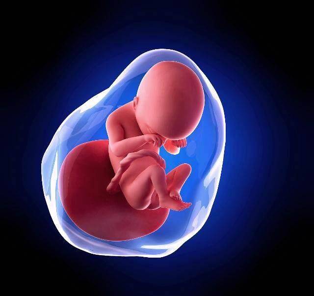 为提高试管婴儿成功率,胚胎移植后,饮食需注意这4点