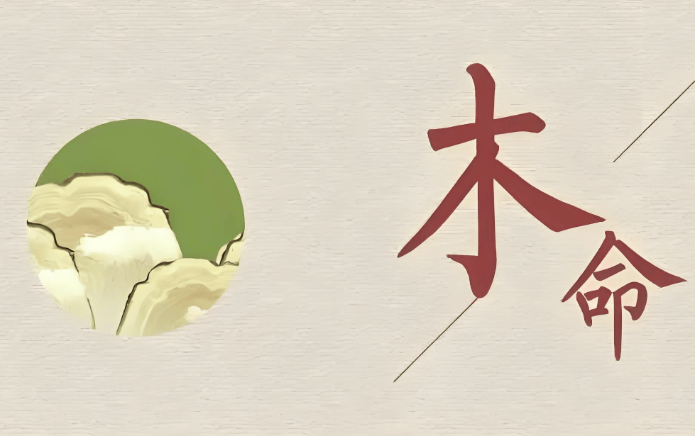 什么是五行用神木的八字,五行用木神之人如何起名字