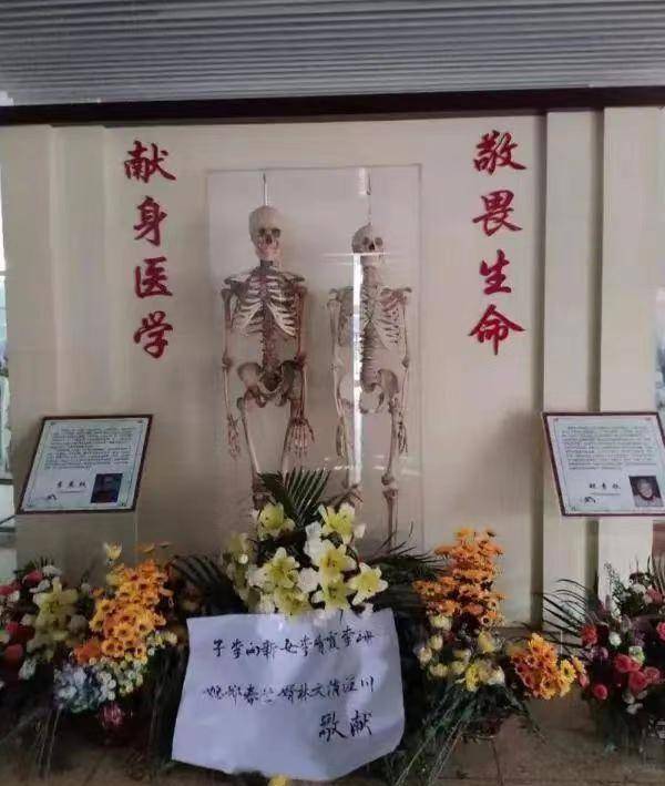 老人去世后捐赠遗体,14年后意外和妻子"重逢",到底是怎么回事