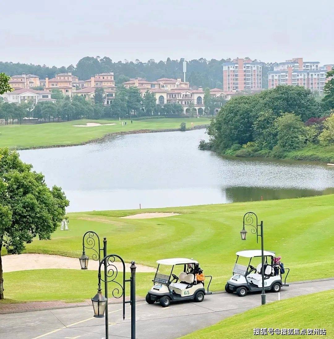 美的半岛庄园别墅(佛山)美的半岛庄园别墅丨美的半岛庄园别墅欢迎您