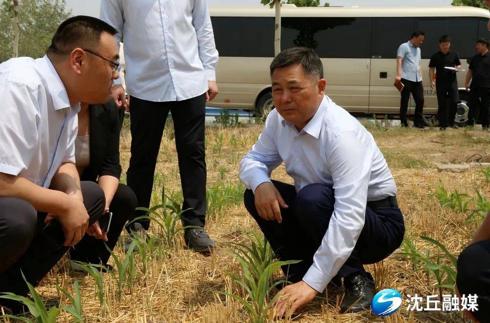 沈丘县县长儿子死亡图片