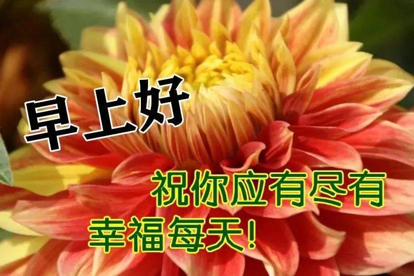 8张特别漂亮清晨早上好动图片带祝福语 免打字聊天的早安问候祝福动态