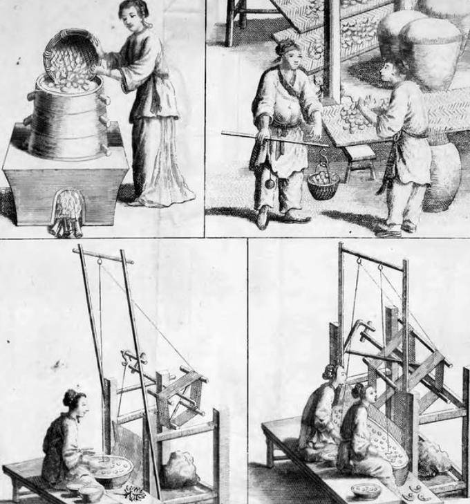 古代丝织业:最早发展在黄河中下游地区,为何会在南方成型?