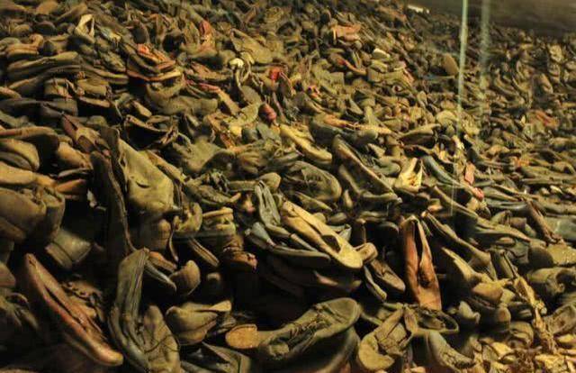 她们是美丽天使,为完成希特勒的计划,玩起杀人和强制生育的游戏