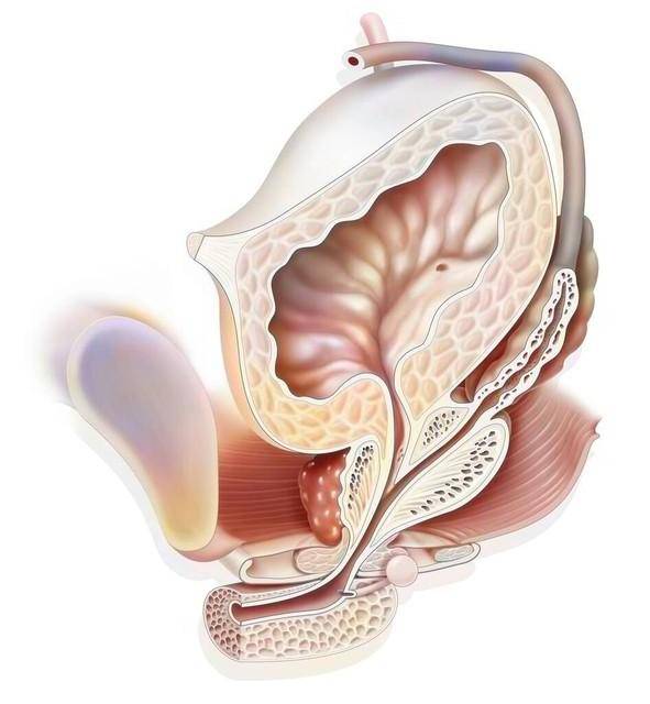 为什么女性洗澡时也会站着排尿?除了爽,还有这原因,别