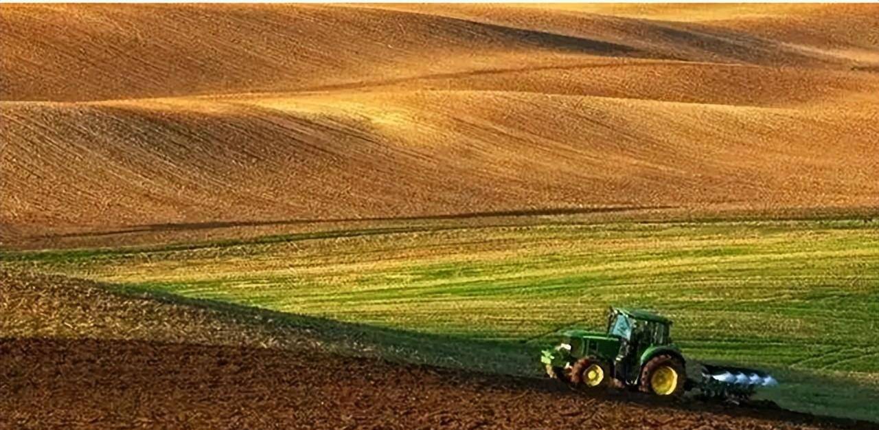 农业国_革命_的发展