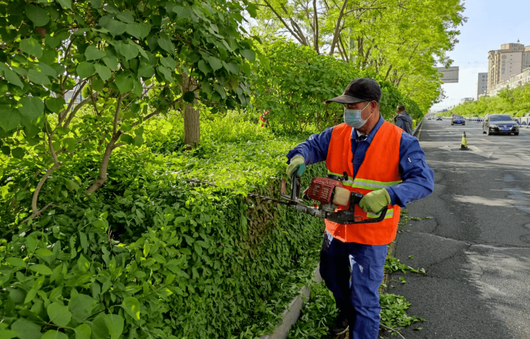 园林绿化工怎么报名?证书有用吗?报名流程及要求,工作内容,职业前景