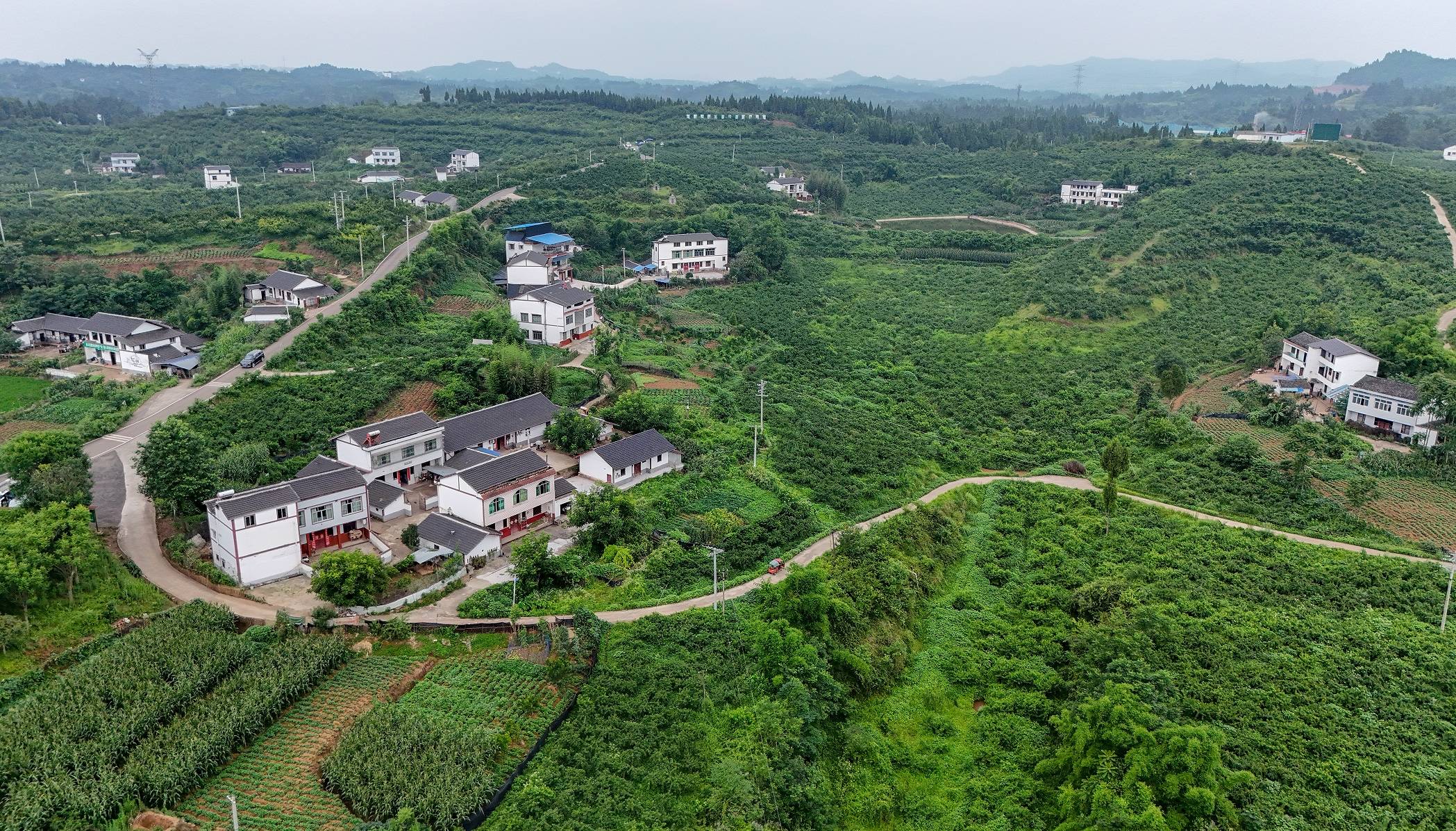 四川南充多联谊会携手助力蓬安县宽敞沟村乡村振兴