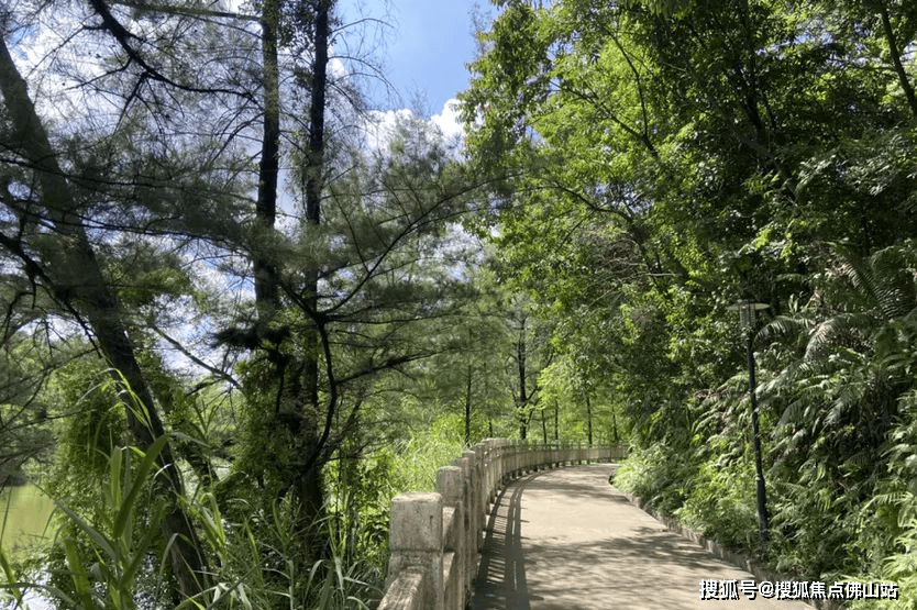 里水镇浔峰山图片