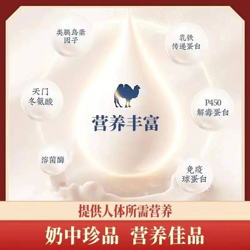 奶粉_骆驼_新疆
