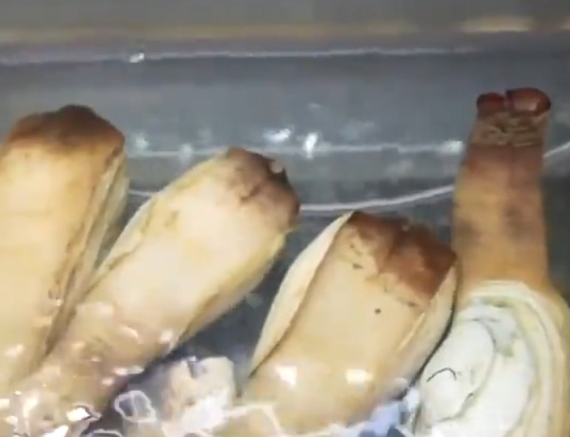  引起 实拍:日本厨师现场处理河蚌的生鱼片，卖了之后没人相信。 