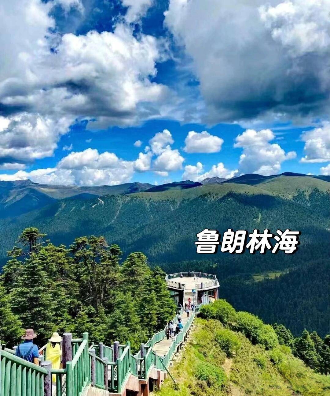 第二天,我们前往米拉山隧道,穿越高山峡谷,欣赏鲁朗林海的壮美景色