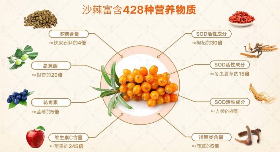 从手工采摘到即时冷榨,每一个环节都力求最大限度地保留沙棘果的新鲜