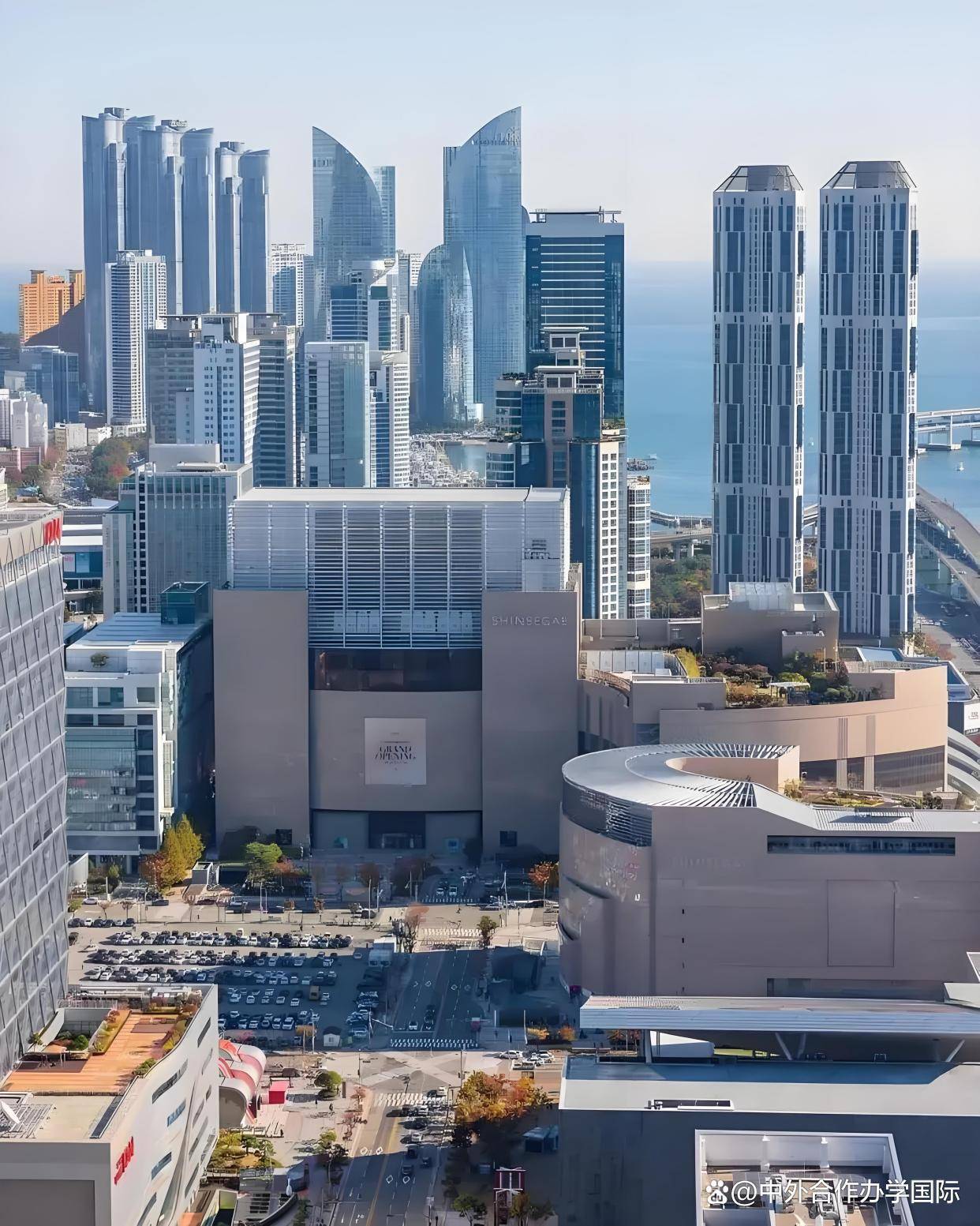 毕业待遇填写报名表 (提交身份证,准考证,成绩单