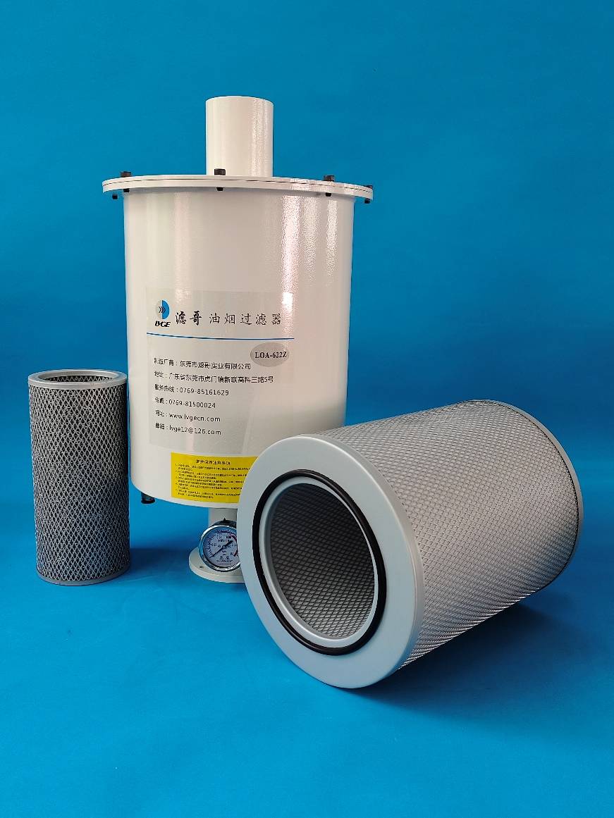 真空泵滤芯到底应该多久更换一次?_过滤器_进行_排气