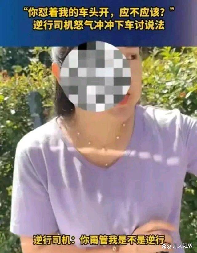 西安奔驰女司机逆行还无理取闹!天网恢恢,疏而不漏,交警会处理