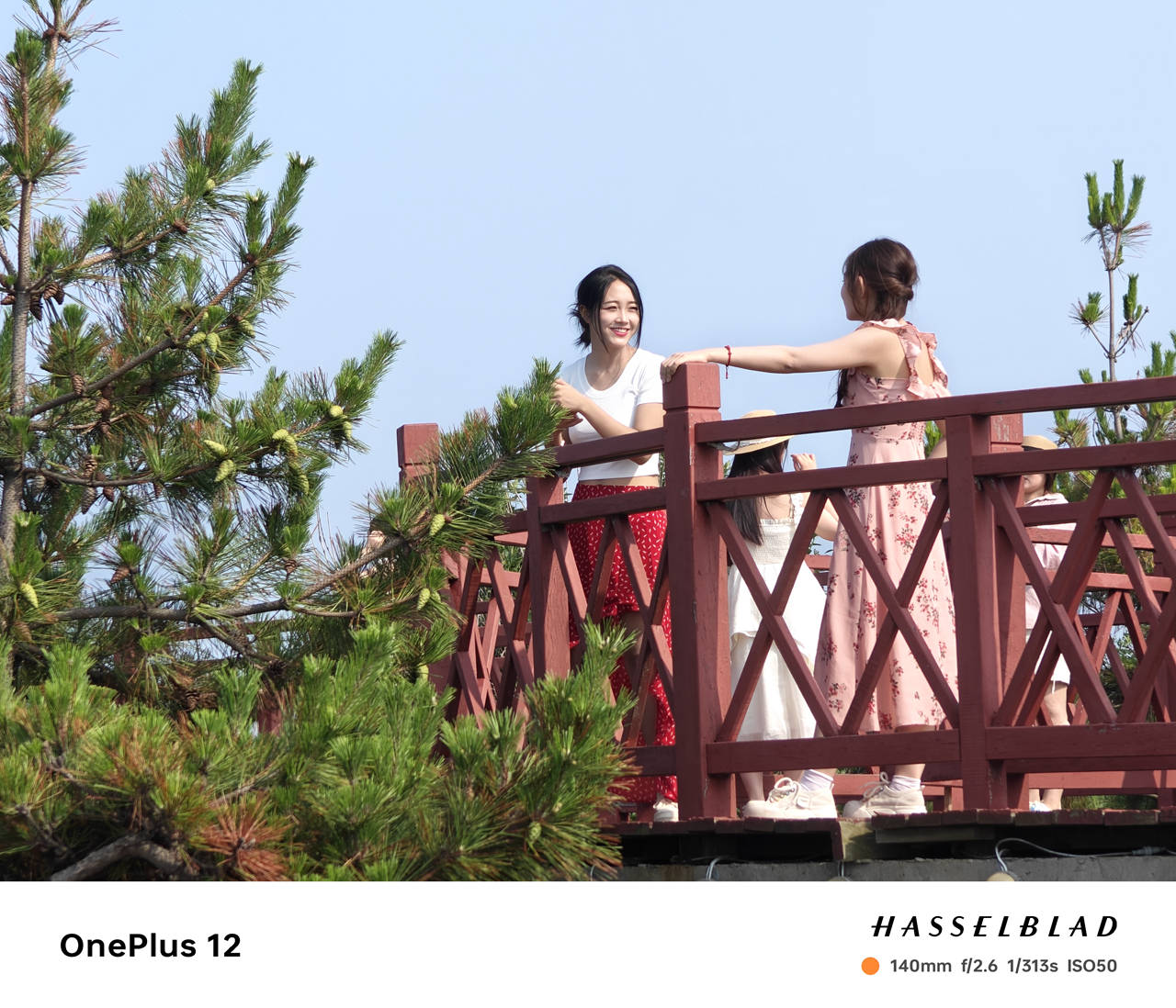 暑期出去旅行,用一加12手机记录沿途美景