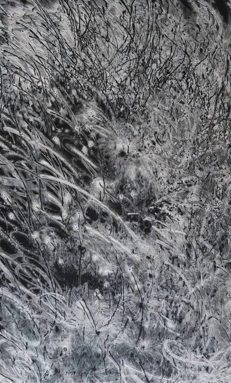 果宸分享|第十四届全国美术作品展——版画部分作品欣赏