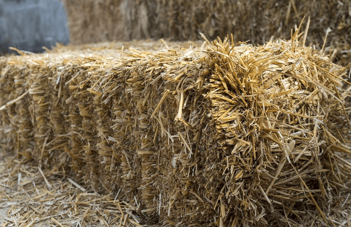 秸秆不再是"负担":大豆秸秆发酵饲料在牛羊养殖中的高效利用