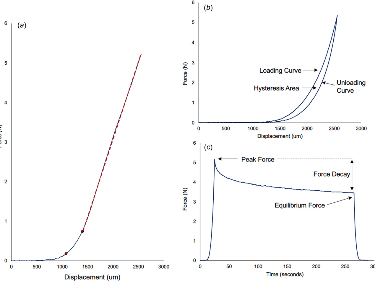 双轴拉伸生物力学试验机_应变_图像_测试