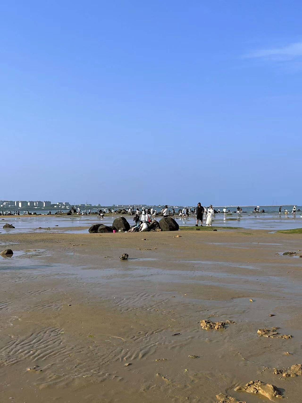 威海国际海水浴场赶海图片