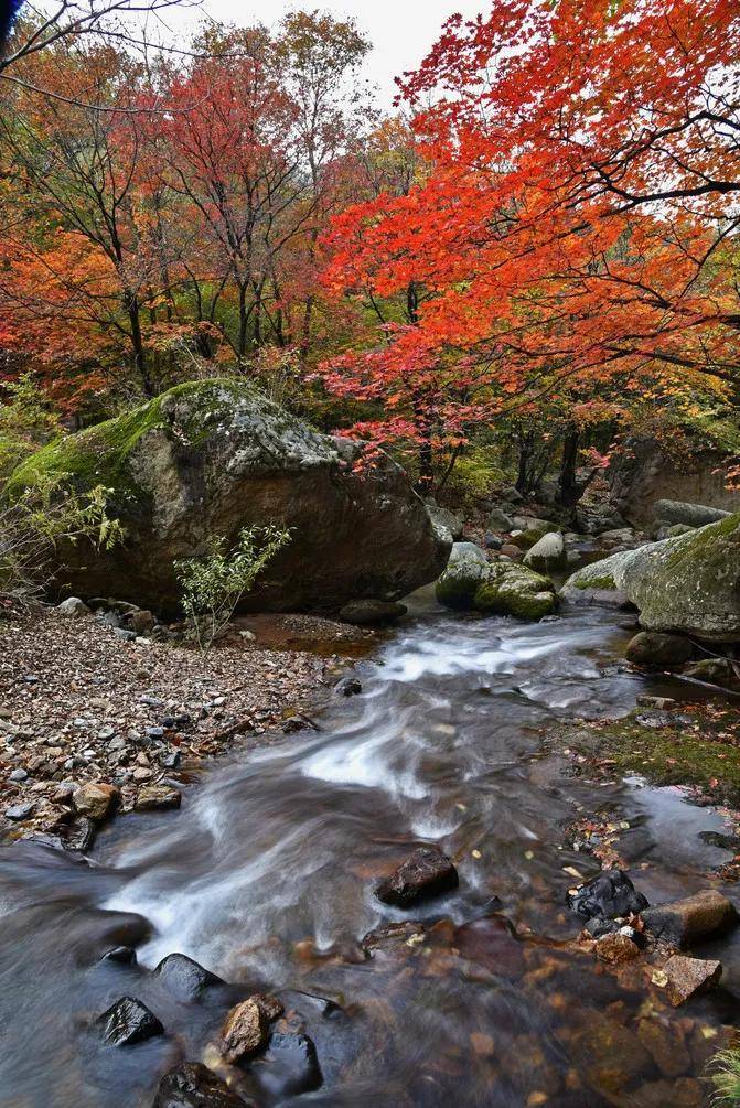 本溪旅游干线上一颗璀璨的赏枫明珠——老边沟风景区