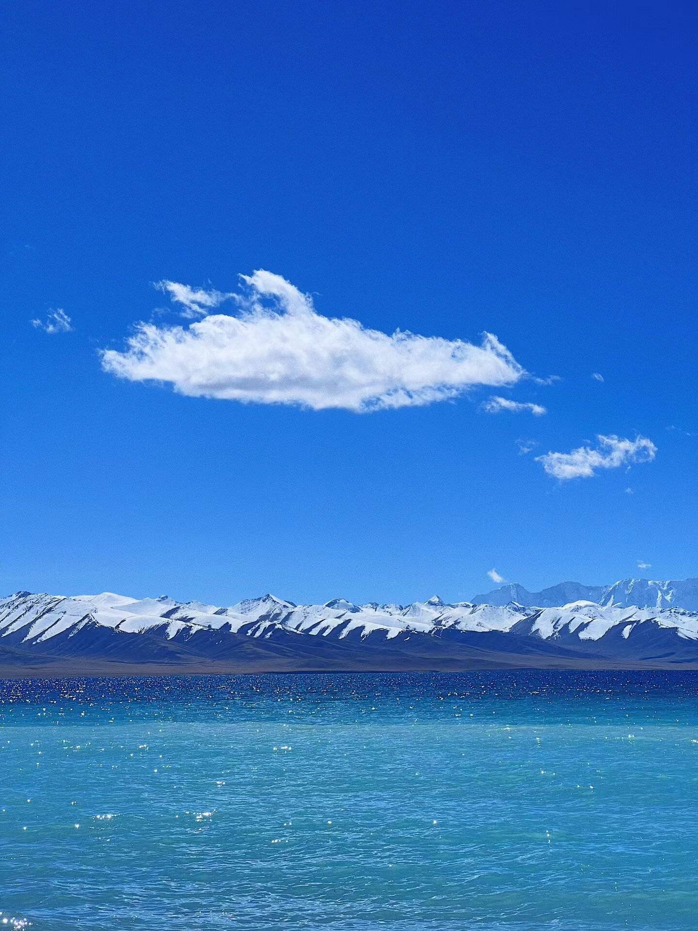 西藏林芝旅游攻略,必打卡10个景点快来收藏