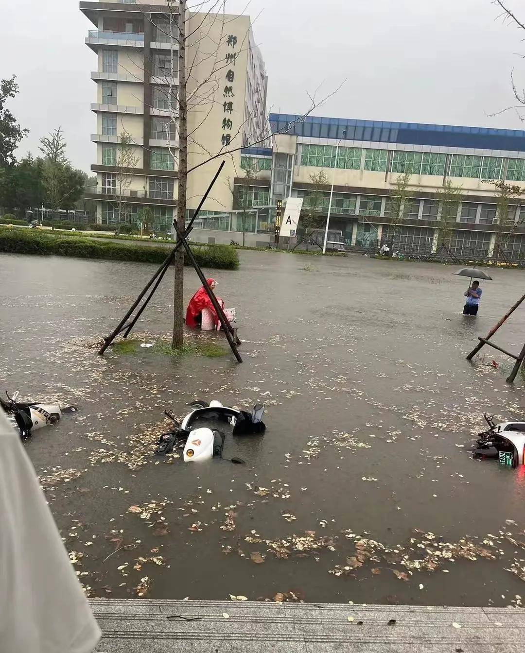 郑州暴雨又上热搜!低洼路段成汪洋,车辆纷纷趴窝,居民划船出行