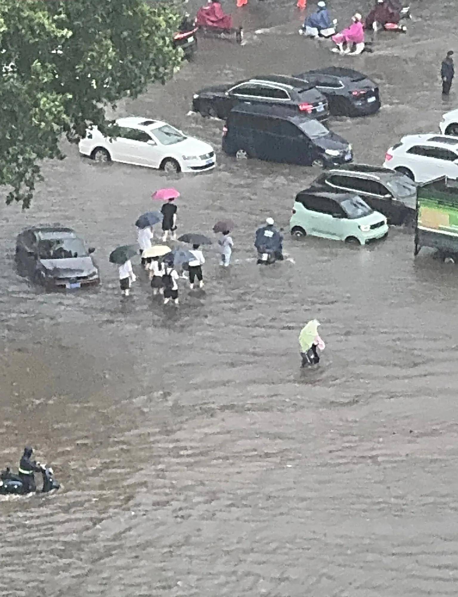 郑州暴雨又上热搜!低洼路段成汪洋,车辆纷纷趴窝,居民划船出行