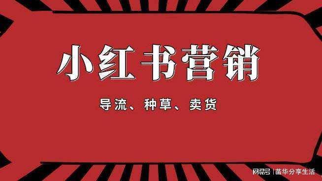 新域名收录_新域名快速收录_域名收集