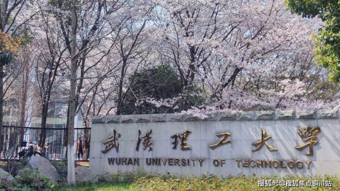 更有武汉理工大学,华中师范大学等知名