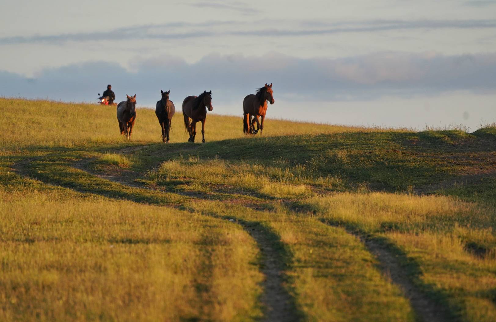 说说新疆伊犁的小多家,游玩喀拉峻草原,住他家方便吗?