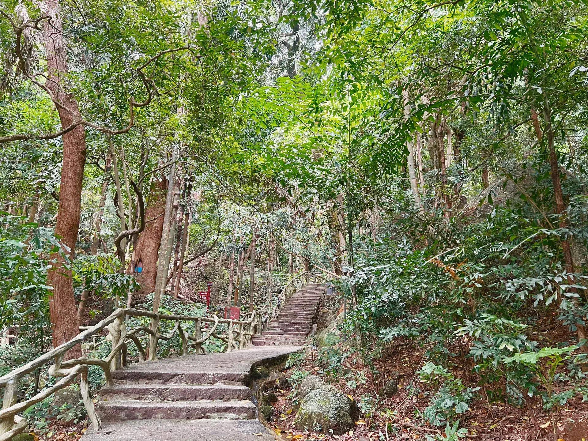 桂平旅游更是令人流连忘返,这里有以南天第一秀著称的西山风景名胜