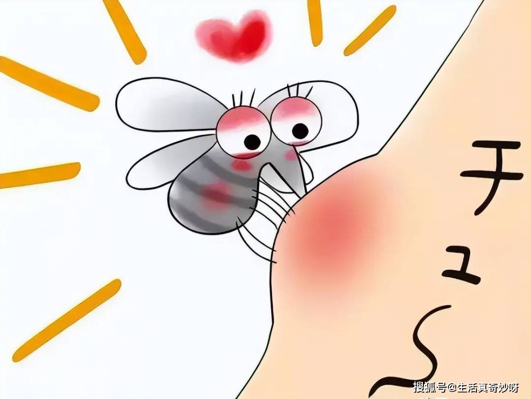 蚊子最高可以飞到"几层楼"?听内行人说完,后悔我家买错了