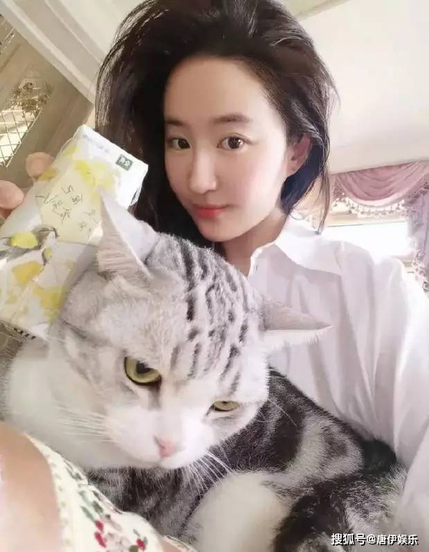 刘亦菲的猫图片