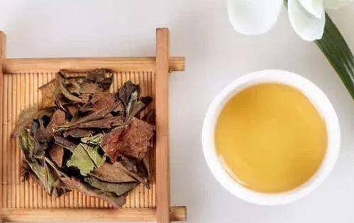 老白茶的"陈香"到底是什么香?