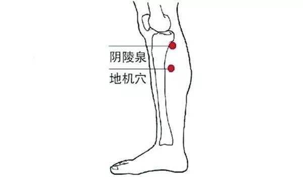 腿上降糖准确位置图图片