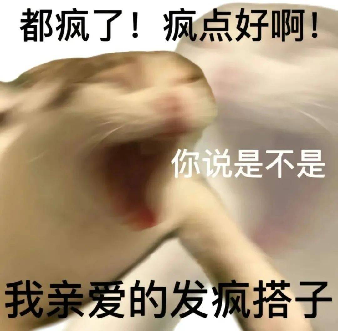 猫咪搞笑图片