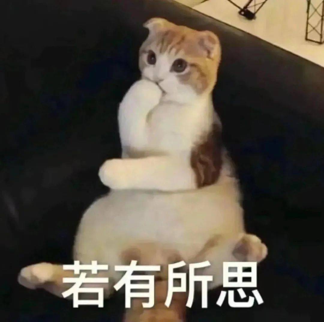 猫咪搞笑图片