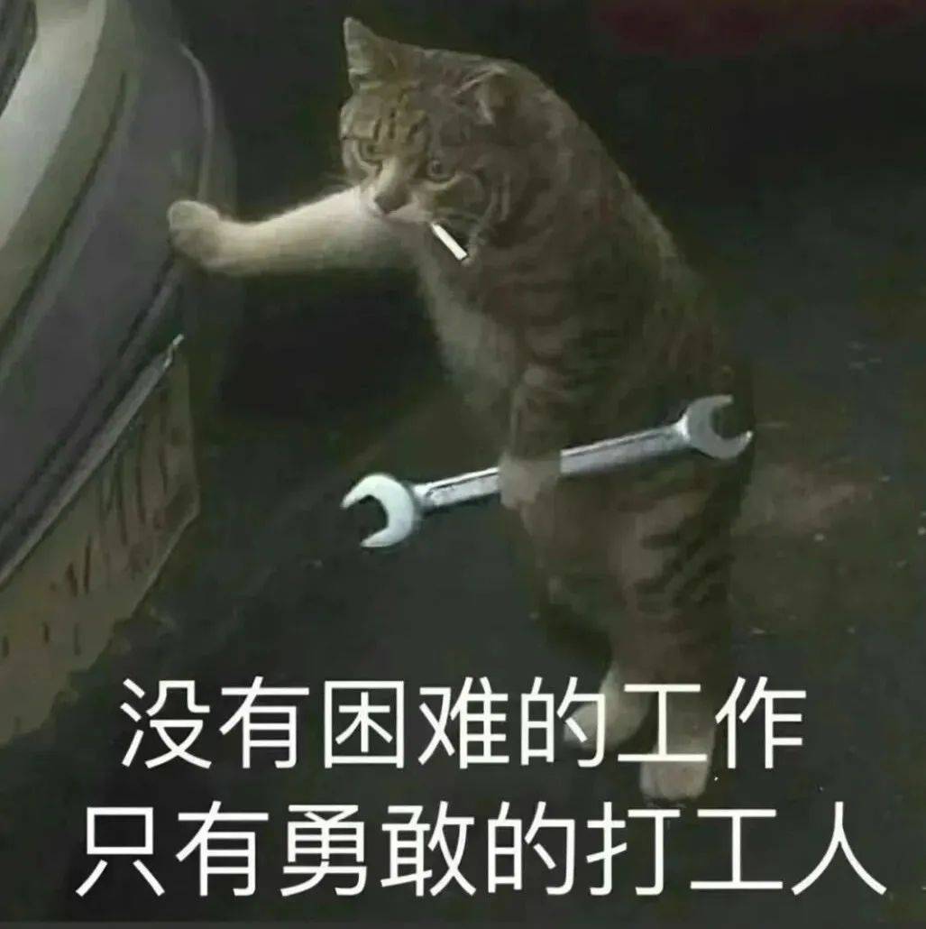 猫咪搞笑图片